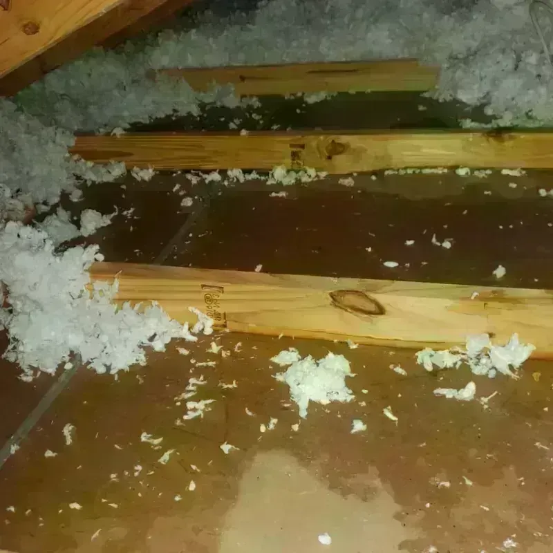 Attic Water Damage in West Fargo, ND