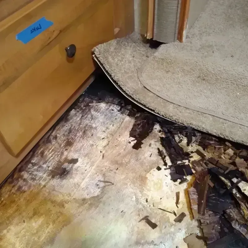 Wood Floor Water Damage in West Fargo, ND